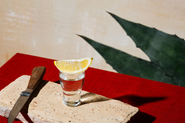 tomas de tequila con hojas de limón y agave - tequila shot tequila salt lemon fotografías e imágenes de stock