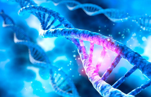 dna-sequenz, dna-code-struktur - medical 3d illustration - dna chromosome genetic research genetic mutation stock-fotos und bilder