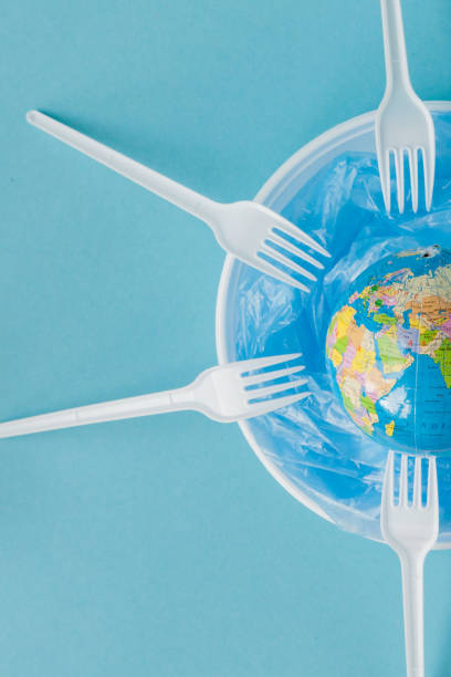 istock Globe on a plastic plate. The concept of ecology, land conservation 1185392195