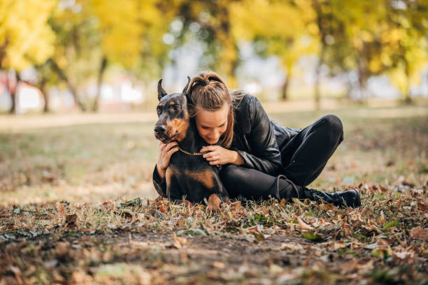 istock Woman hugging Doberman in park 1185398461