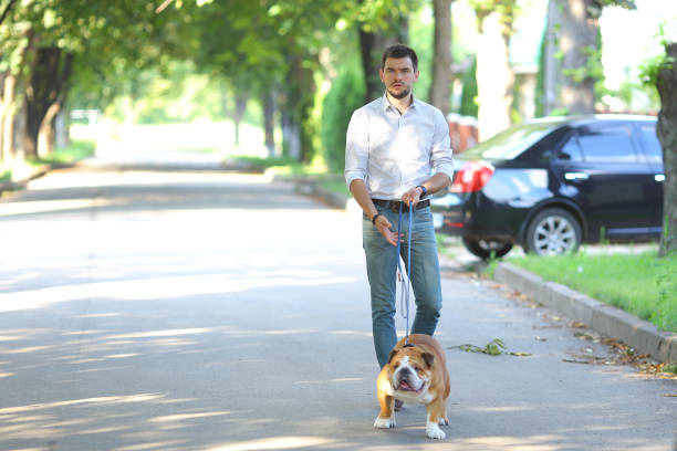 istock Young handsome guy holding dog on leash and walks down alley 1185399846