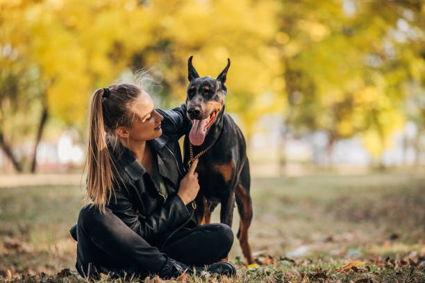 Beautiful woman with her doberman pinscher in park outdoors.