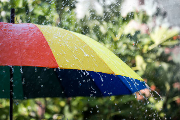 istock Summer rain on colorful umbrella 1185399938