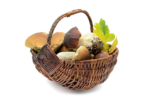Basket of penny bun, golden chanterelle and bay boletus at isolated background.