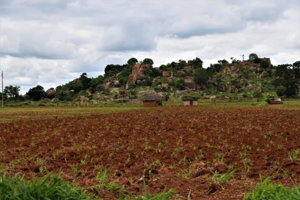 istock Rural scenery in Zimbabwe 1185401280