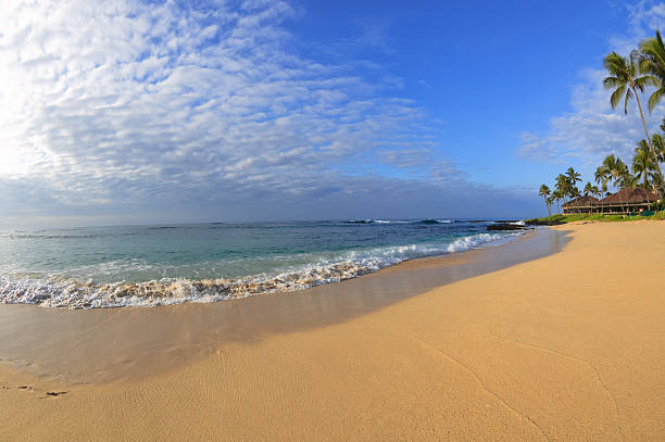 Tropical Beach Hawaii stock photo