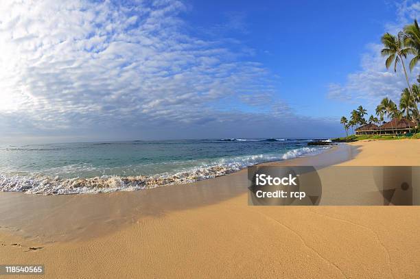 Tropical Beach Hawaii Stock Photo - Download Image Now - Beach, Beauty, Beauty In Nature