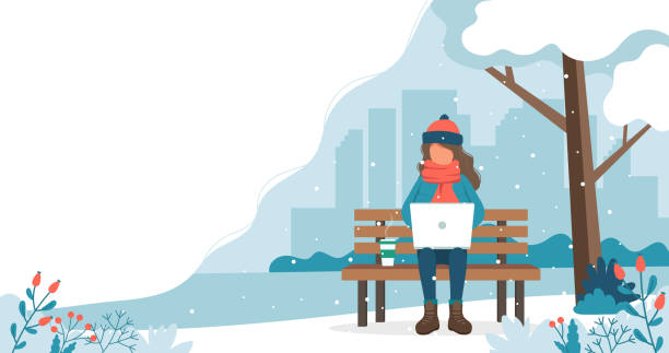 ilustrações de stock, clip art, desenhos animados e ícones de girl sitting on bench in winter with laptop. cute vector illustration in flat style - snow winter bench park