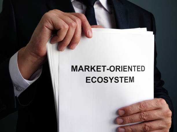 istock Businessman is holding market-oriented ecosystem MOE plan. 1185407276