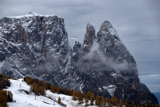 istock Alp of Siusi, Dolomite 1185407633