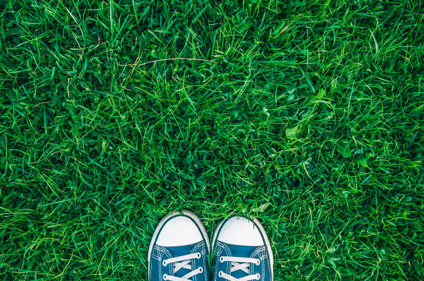istock Canvas shoes on green grass 1185408626