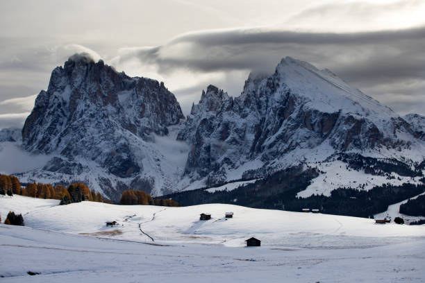 istock Alp of Siusi, Dolomite 1185409057
