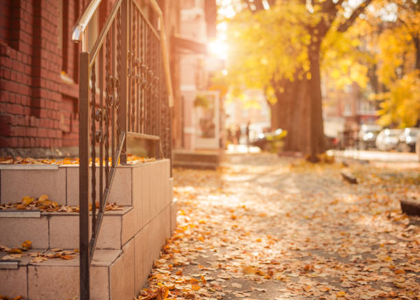 istock city street walkway with fallen autumn leafs 1185409691