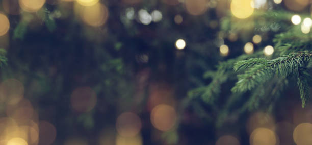 istock Christmas background with fir tree 1185411498