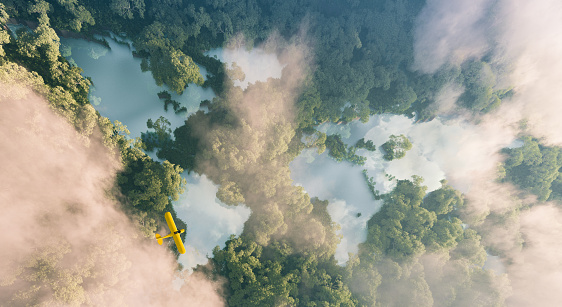 Aerial view of misty rainforest lakes in shape of world continents in dense jungle vegetation in beautiful late evening light. 3d rendering