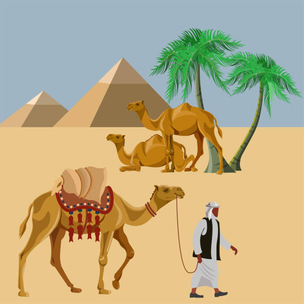 ilustrações, clipart, desenhos animados e ícones de web - tuareg