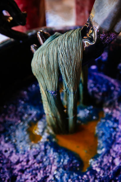 Thai traditional fabric process. Process of dye fabric indigo color. Indigo dye cotton thread in Thailand