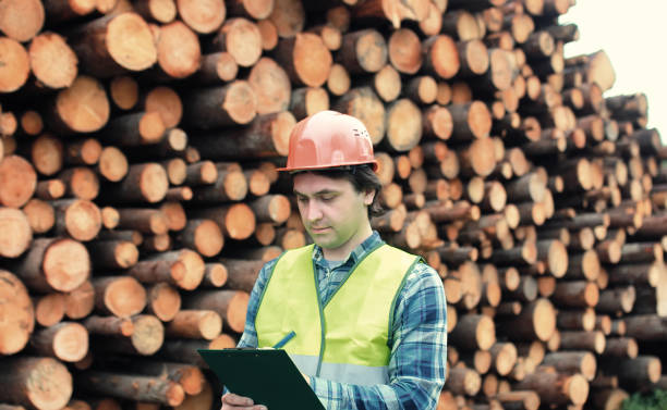 istock Worker in helmet counts wood lumber 1185418310
