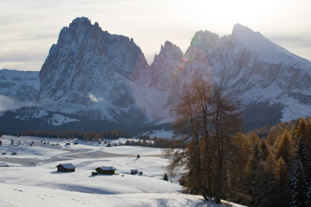 istock Alp of Siusi, Dolomite 1185419341