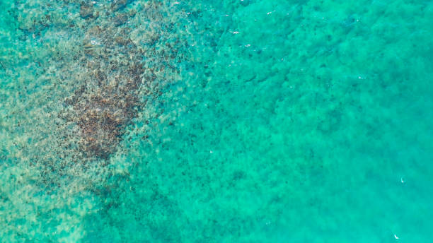 istock Best sea in the world. 1185419460