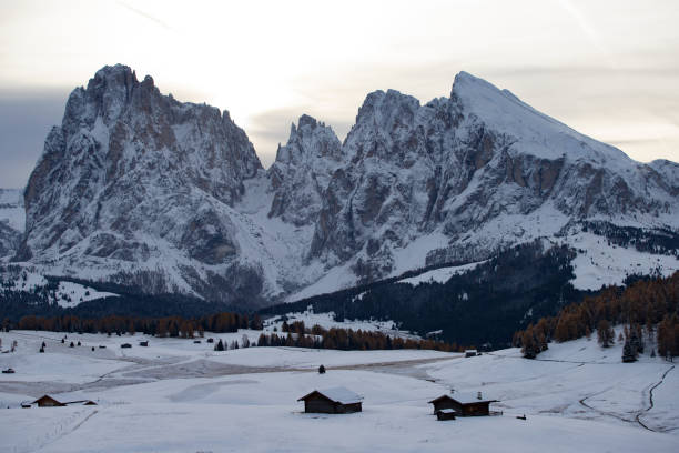 istock Alp of Siusi, Dolomite 1185419495