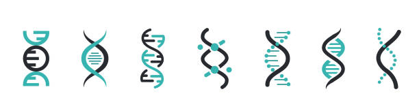 dna-symbole gesetzt. dna-struktur molekül-symbol. vektormolekül. chromosomensymbol - chromosome stock-grafiken, -clipart, -cartoons und -symbole