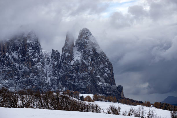 istock Alp of Siusi, Dolomite 1185420852