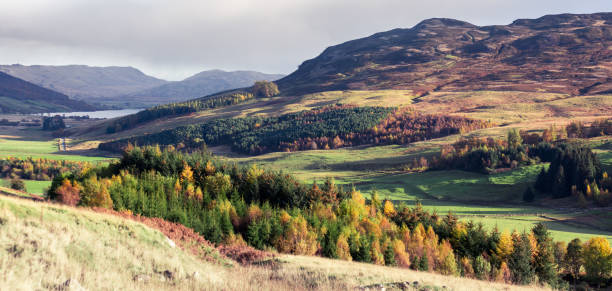 istock Typical Perthshire scenery around Amulree and Loch Freuchie 1185420953