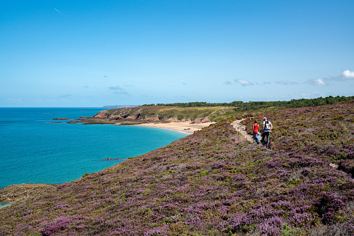 Erquy, Cotes-d-Armor / France - 20 August, 2019: young family hiking across lilac heath to a secluded beautiful beach