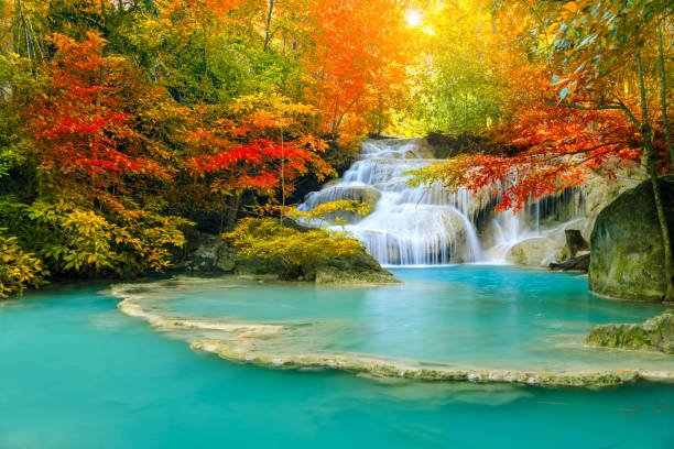 istock Colorful majestic waterfall in national park forest during autumn 1185421367