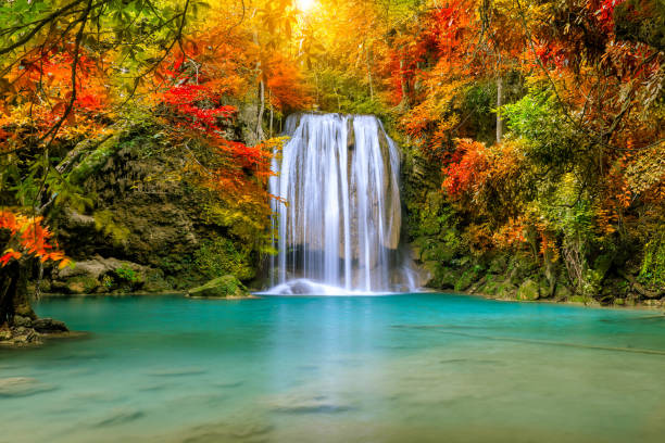istock Colorful majestic waterfall in national park forest during autumn 1185421374