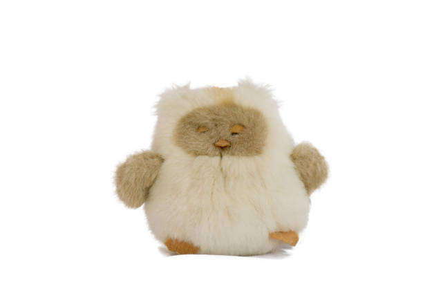 istock Stuffed animal owl toy,Isolated on white background. 1185427286
