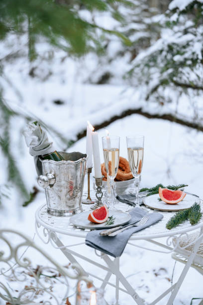 istock Romantic dinner in the winter forest. 1185427289