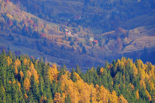 istock Autumn trees and village behind 1185428983