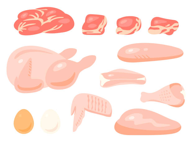 Various raw chicken meat illustration set (No line drawing) This is an illustration set of raw chicken such as chicken thigh, chicken breast, chicken wings and eggs. tawny stock illustrations