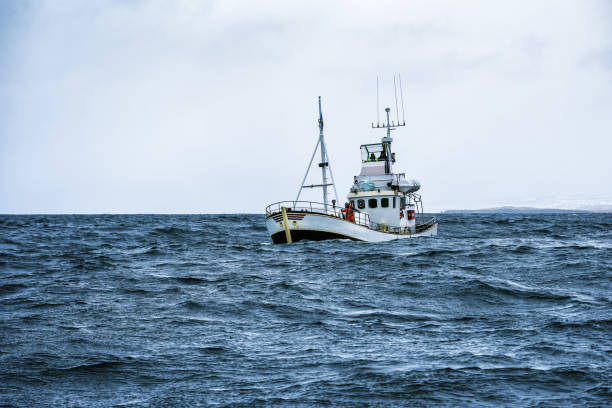 barco de pesca en el océano abierto - industria de la pesca fotografías e imágenes de stock