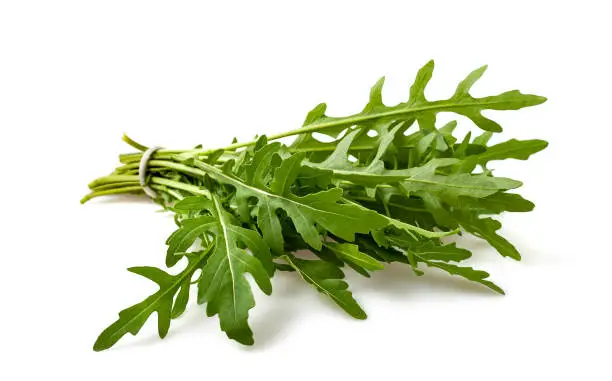 Fresh arugula bunch isolated on white