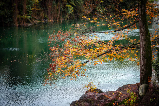 Autumn in the park