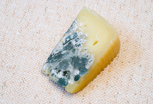 a cheese block with storatge mould
