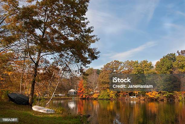 Tranquilla Mattina Sul Lago - Fotografie stock e altre immagini di Acqua - Acqua, Albero, Albero deciduo