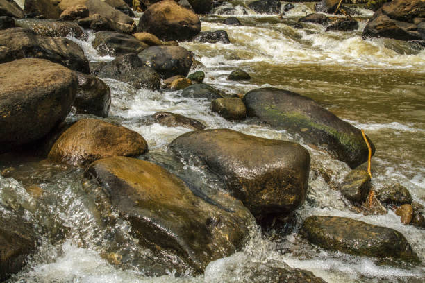 岩とクローズアップ美しい自然の川の水の流れの風景 - natural phenomenon waterfall rock tranquil scene ストックフォトと画像