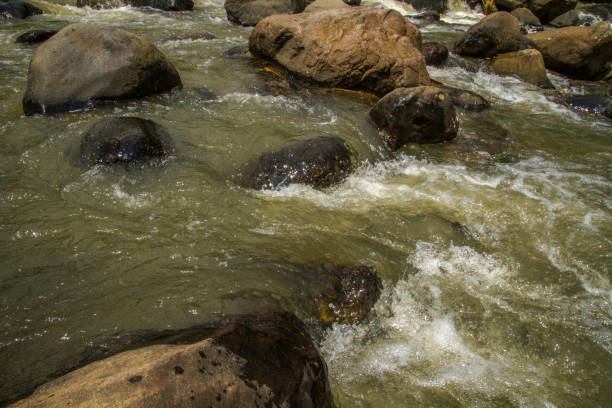 istock Close-up beautiful natural river water stream landscape with rock 1185438383