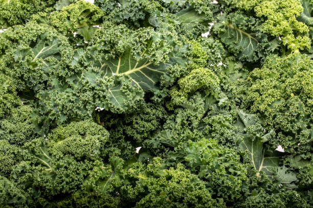 istock A healthy fresh curly kale 1185439049