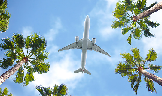 Image of passenger commercial aircraft taken from below, showing the airplane from the bottom side in tropical scenery.