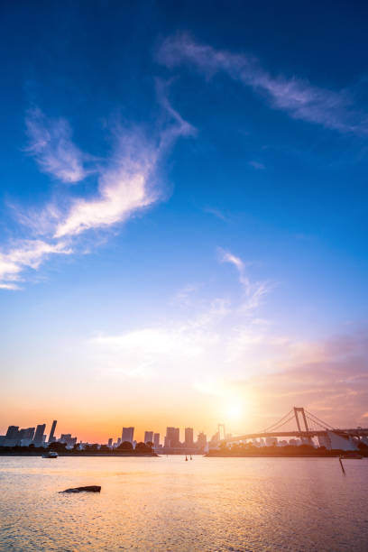 istock Tokyo, Japan at Rainbow Bridge spanning the bay 1185440377