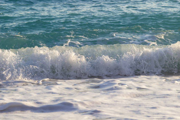istock Sea wave and sea foam on the shore at sunset 1185444718