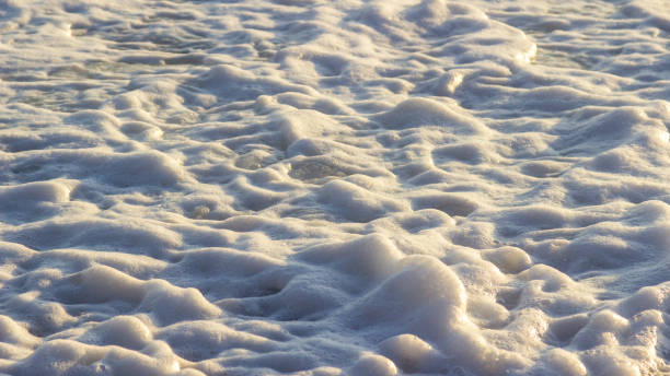 Marine background. Sea foam on the shore at sunset