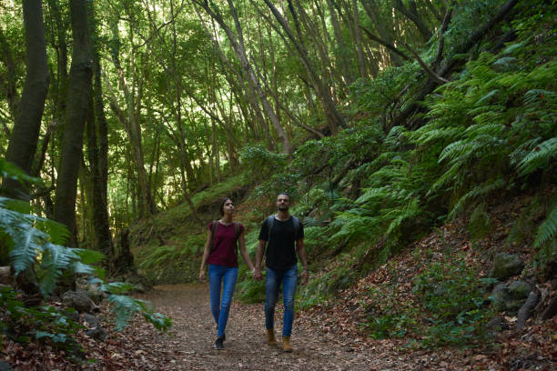 istock Couple talking a romantic walk in the woods 1185444741