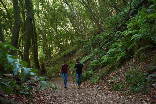 istock Coupe holding hands walking in the forest 1185445827