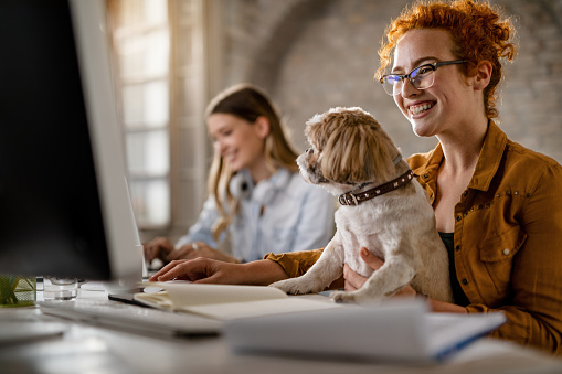 Happy businesswoman working on desktop PC while holding her dog in the office.